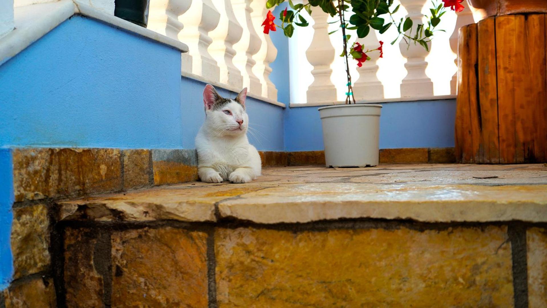 Bettina 2nd Floor Villa *