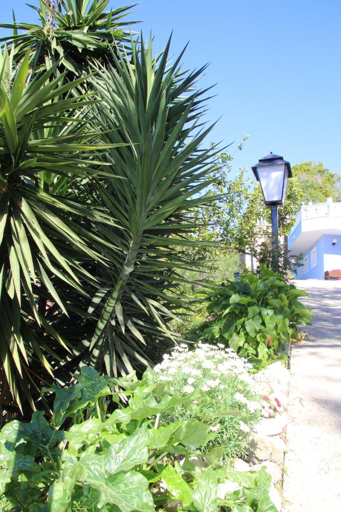 Villa Bettina 2nd Floor Afionas
